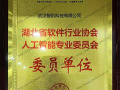 省軟協(xié)人工智能專業(yè)委員會