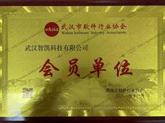 市軟協(xié)會員單位