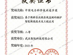 中國電力科學(xué)技術(shù)進步獎02